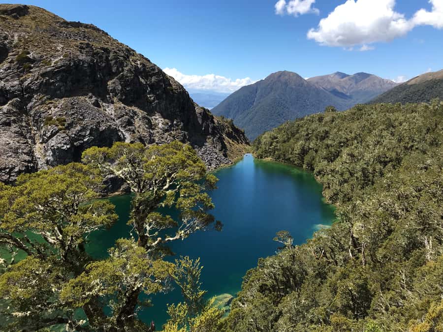 Te Anau: 30-Minute Fiordland National Park Scenic Flight - Why this short flight works in Te Anau