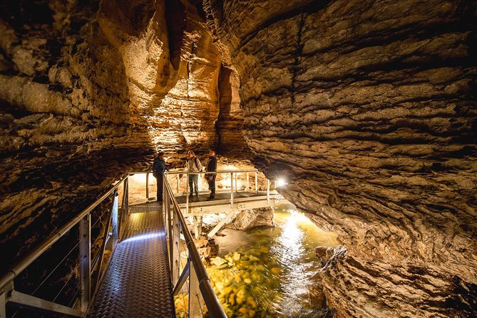 Te Anau Glow Worm Caves Tour - Why this Te Anau outing is worth your time