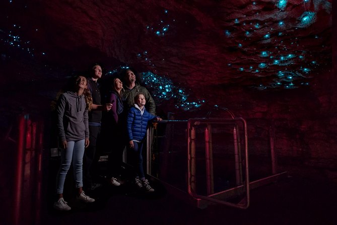 Te Anau Glow Worm Caves Tour - Crossing Lake Te Anau on Luminosa