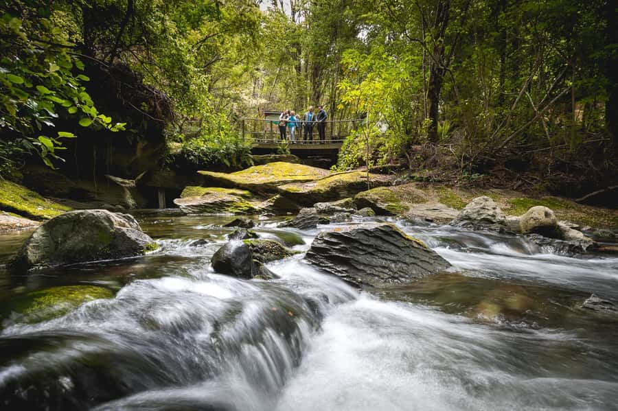Te Anau: Glowworm Caves Guided Tour - Practical tips for a smoother visit