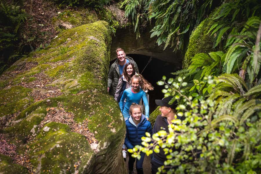 Te Anau: Glowworm Caves Guided Tour - Walking through the limestone passages