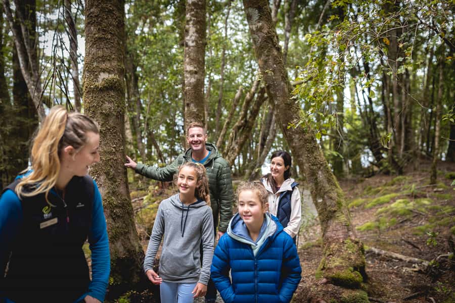 Te Anau: Glowworm Caves Guided Tour - Tea, coffee, and a useful explanation afterward