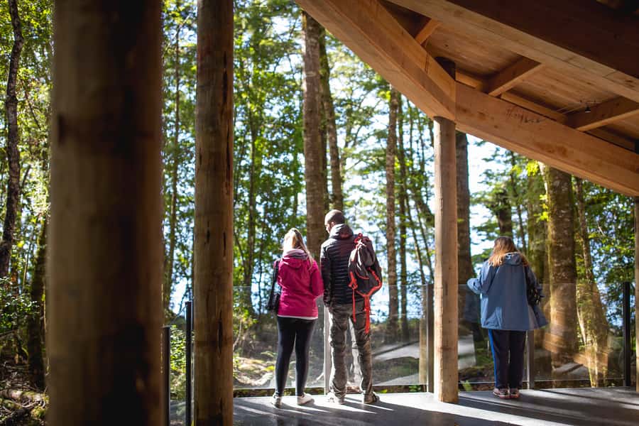 Te Anau: Glowworm Caves Guided Tour - Is $77 good value for 135 minutes?