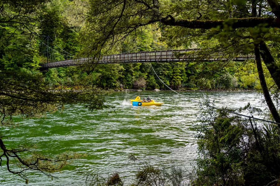 Te Anau: River Jet Boat and Bike Ride Tour with Local Guide - What the $143 price really covers