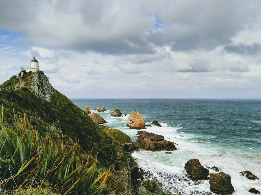 Te Anau to Dunedin via the Catlins & Invercargill 1 Way Tour - Is $173 good value?