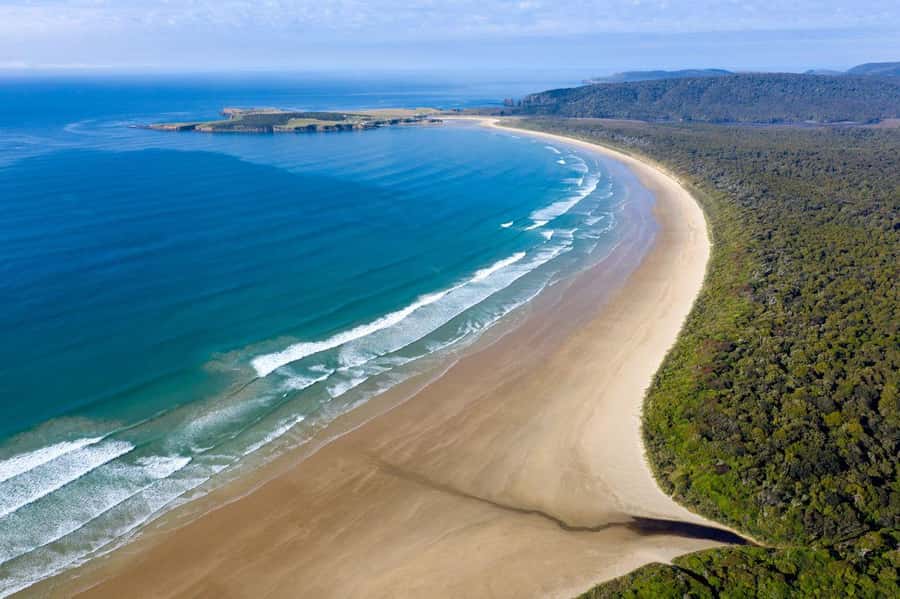 Te Anau to Dunedin via the Catlins & Invercargill 1 Way Tour - Invercargill gives you a useful first pause
