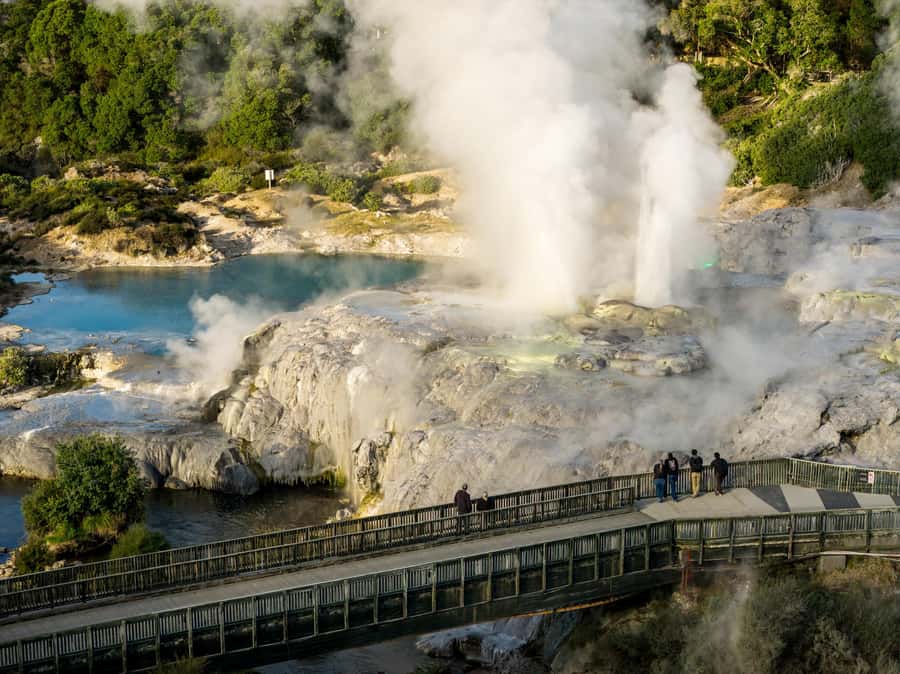 Te Puia: Te Pō Indigenous Combo - Tour, Dinner + Haka - Starting at 20 Hemo Road