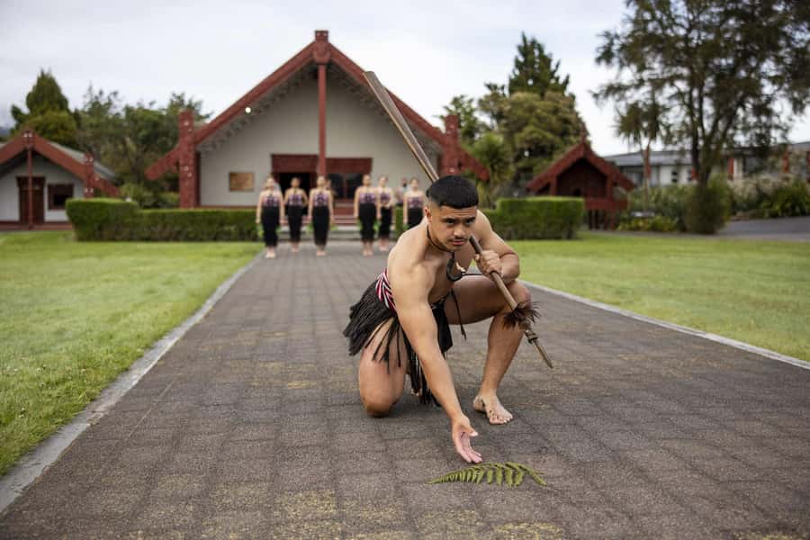 Te Puia: Te Pō Indigenous Combo - Tour, Dinner + Haka - Who will enjoy this four-hour format