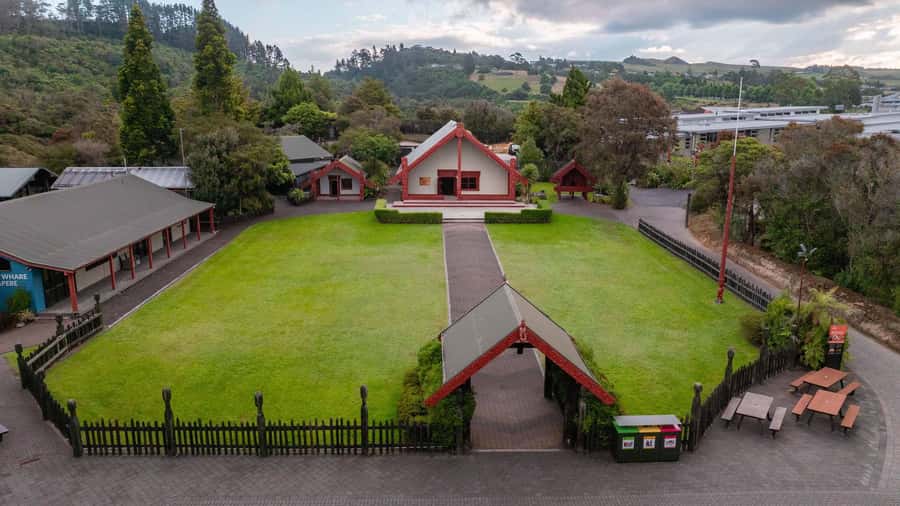 Te Puia: Te Rā Guided Day Tour + Haka Cultural Performance - What the $80 experience actually includes
