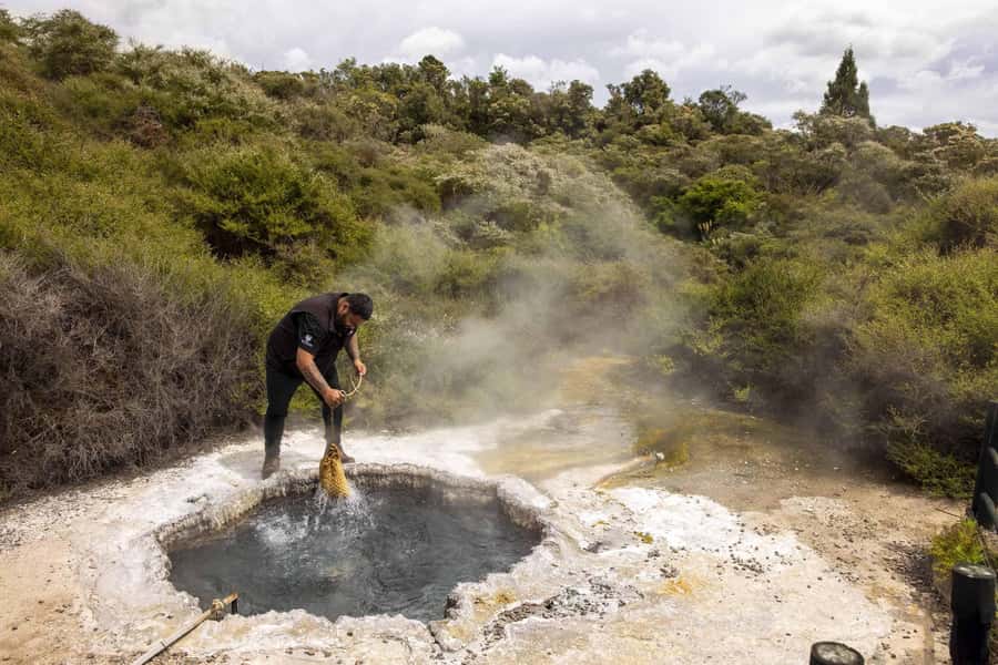 Te Puia: Tuku Iho Trail with Cultural Show - Why this Te Puia experience works well in a short visit