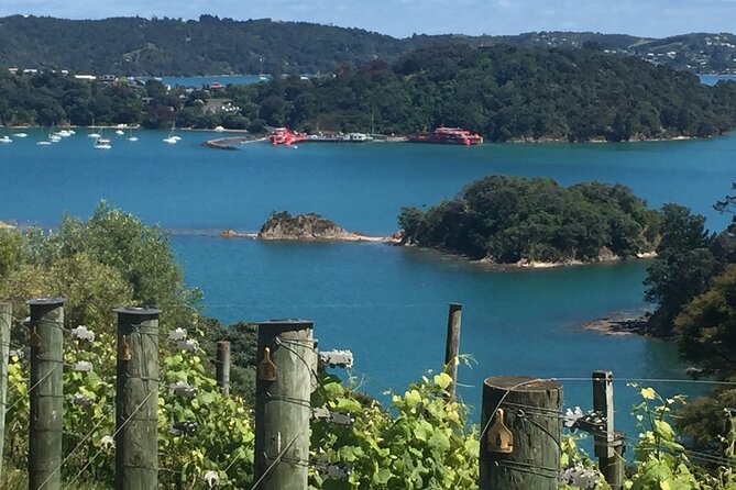 The Boutique Experience: Waiheke Best Cellar Tour (11 guests max) - At a glance: what makes this Waiheke day different
