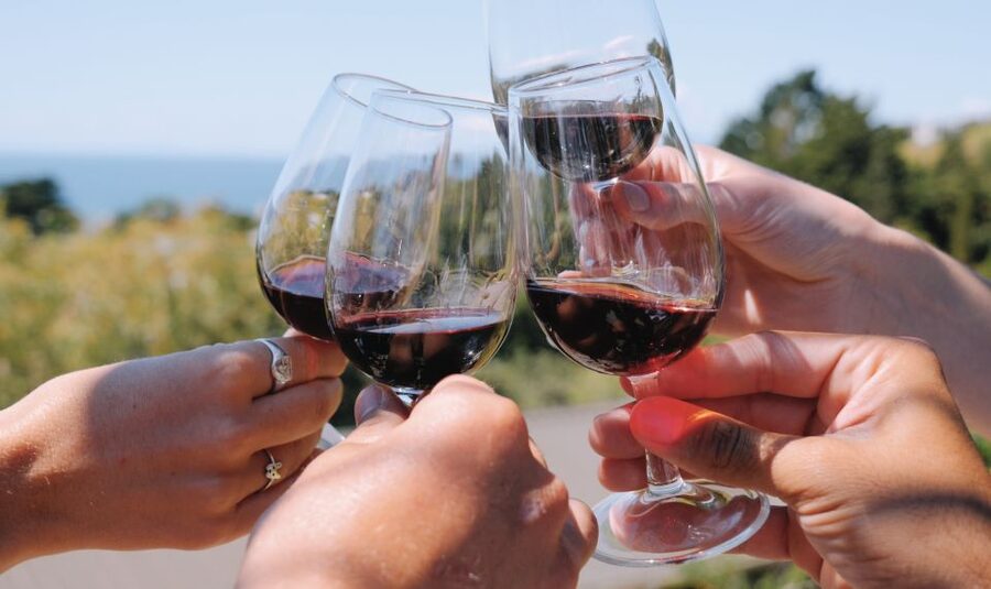 The Boutique Experience: Waiheke Island Best Cellar Tour - What $124 buys you, and what it does not