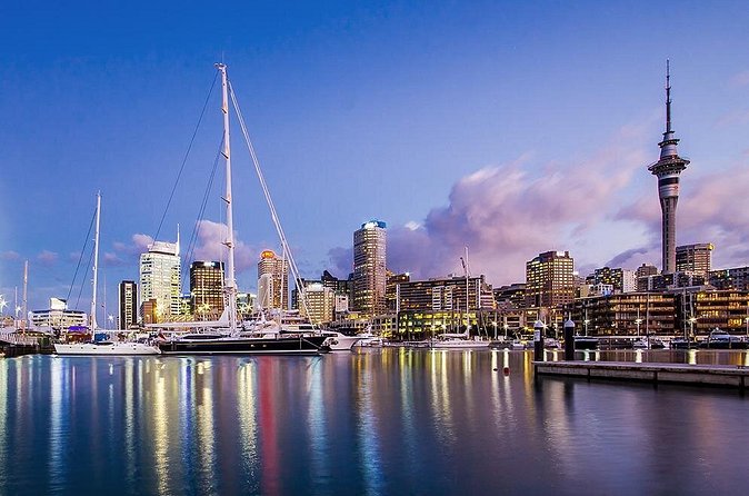 The City Lights: a unique electric bike tour of Auckland by night! - The Pink Lights of Te Ara I Whiti