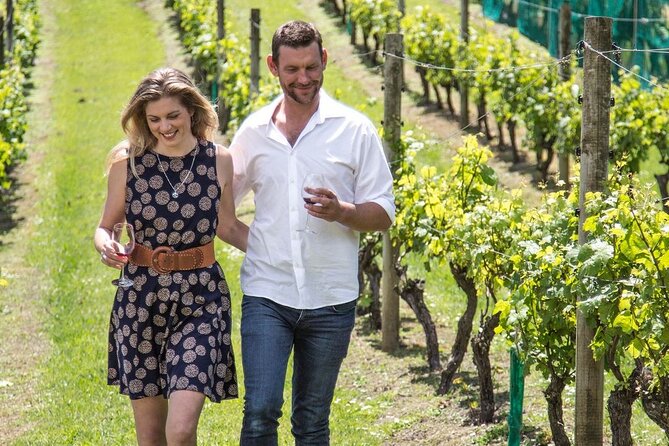 The Essence of Waiheke Wine Tour - Why Waiheke Works So Well for a Wine Day