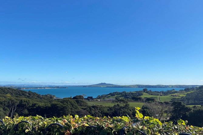 The Essence of Waiheke Wine Tour - Scenic Drives, Beaches, and Local Commentary