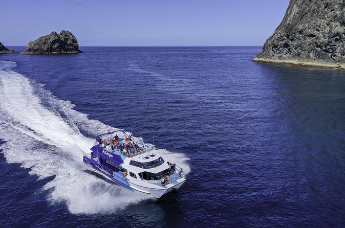 The Original Full day Bay of Islands Cruise with Dolphins - The 90-minute break at Otehei Bay