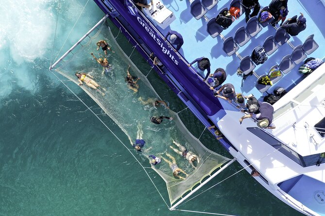 The Original Full day Bay of Islands Cruise with Dolphins - Price, group size, and what to bring