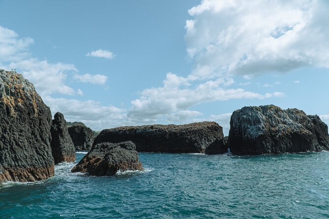 The Original Full day Bay of Islands Cruise with Dolphins - Marsden Cross and Rangihoua from the water