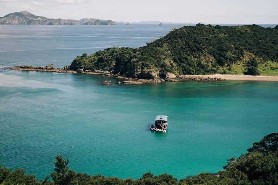 The Rock Adventure Day Cruise - Island walks, old defenses, and Maori fortifications