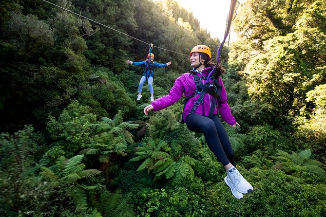 The Ultimate Canopy Zipline Experience Private Tour From Auckland - Key points to know before you book