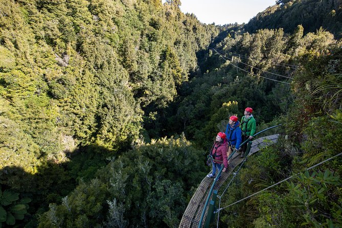 The Ultimate Canopy Zipline Experience Private Tour From Auckland - A 6:30 a.m. start from Auckland Central