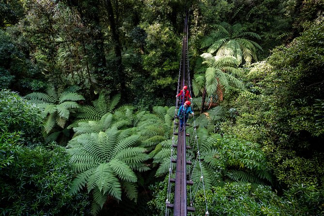 The Ultimate Canopy Zipline Experience Private Tour From Auckland - Coffee, the Bombay Hills, and a curious stop in Tirau