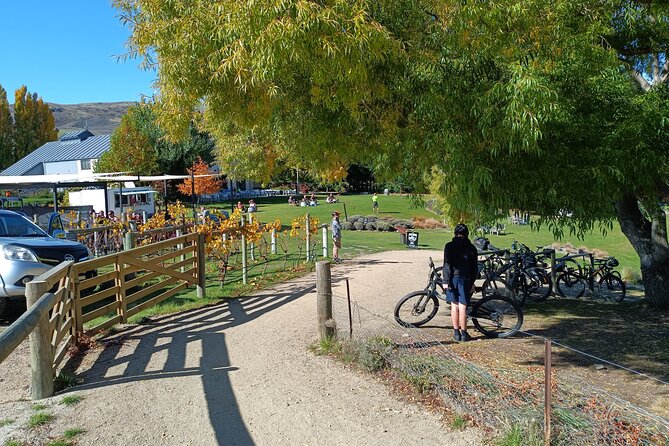 The Ultimate Lake Dunstan Bike Hire And Boat Experience - Why this Cromwell to Clyde ride works so well