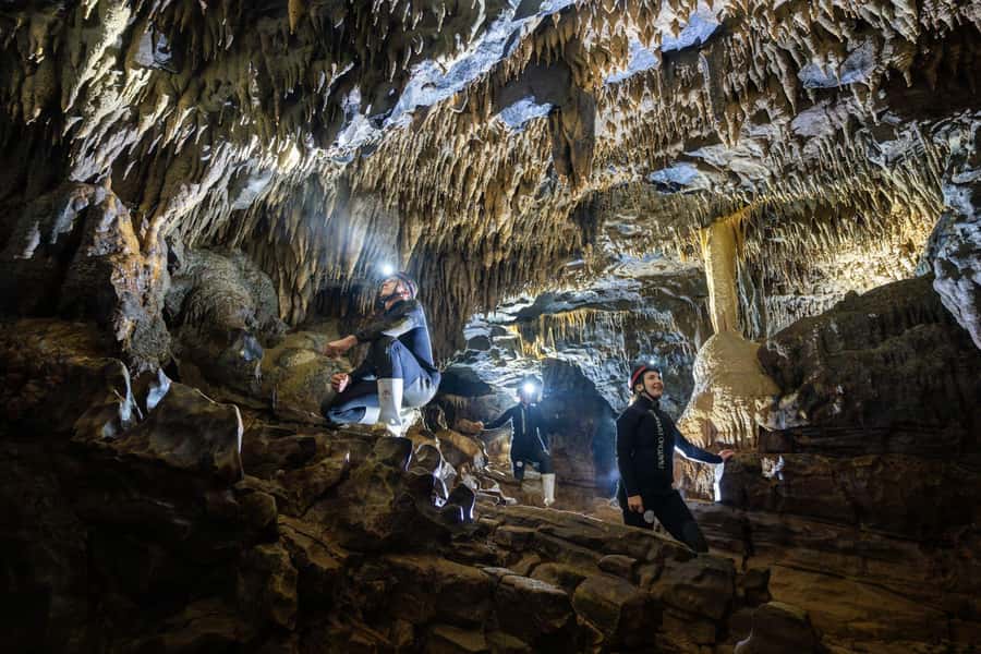 The Waitomo Experience : Okohua Glowworm Cave Tour - Key points at a glance