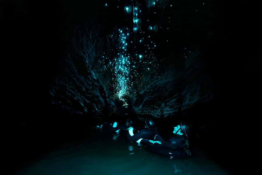 The Waitomo Experience : Okohua Glowworm Cave Tour - The walk across farmland