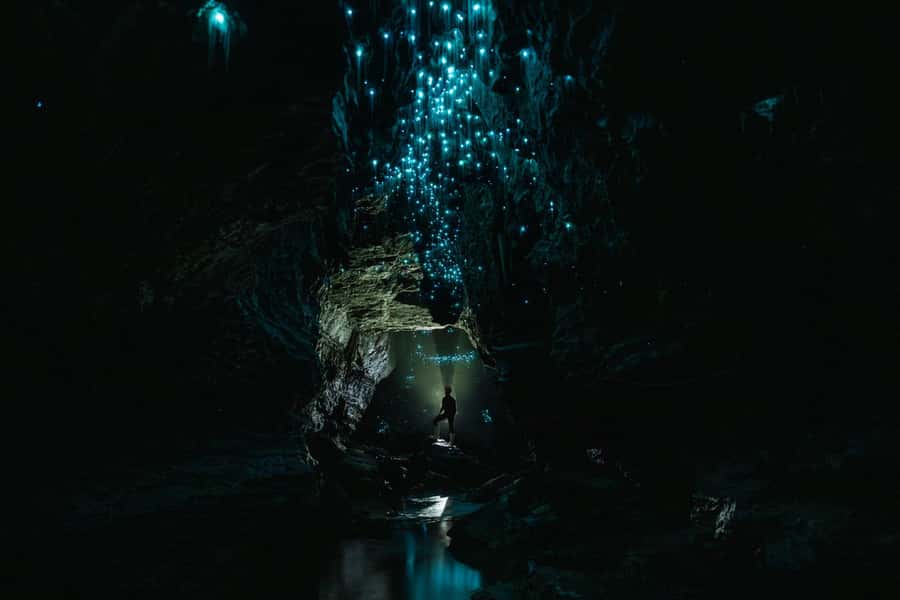 The Waitomo Experience : Okohua Glowworm Cave Tour - Entering the Okohua cave system
