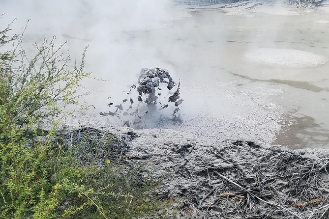 Thermal Path Tour - Kerosene Creek brings the geothermal water close