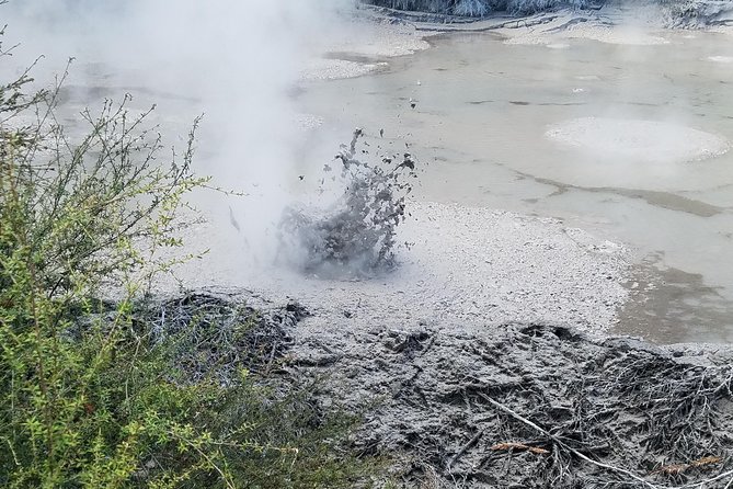 Thermal Path Tour - The mud pool is Rotorua at its most theatrical