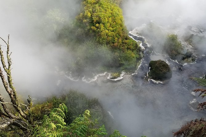 Thermal Path Tour - Te Manaroa Springs shows the scale of the water below