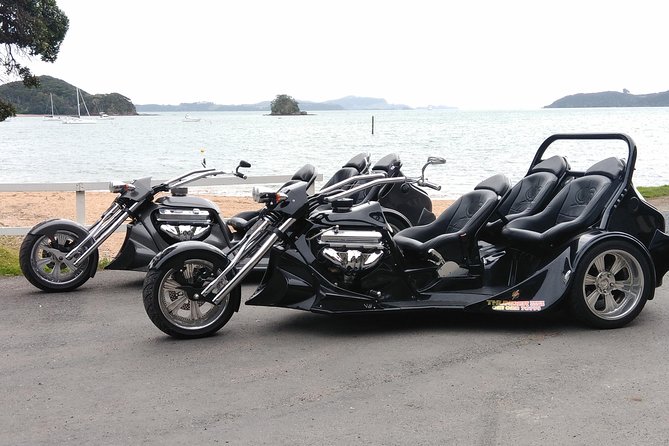 Thriller Tour - Bay of Islands, 30 mins (min 2) - A family activity with a surprisingly broad age range