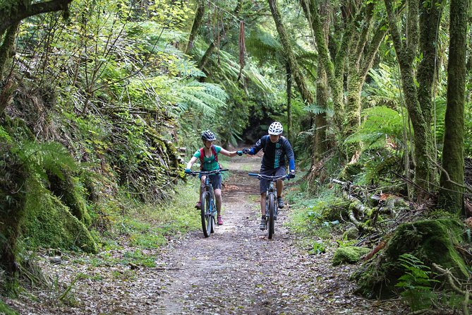 Timber Trail - Ongarue to Pureora Shuttle 2 Day Ride - The bicycle choice can make or break the 85-kilometre ride