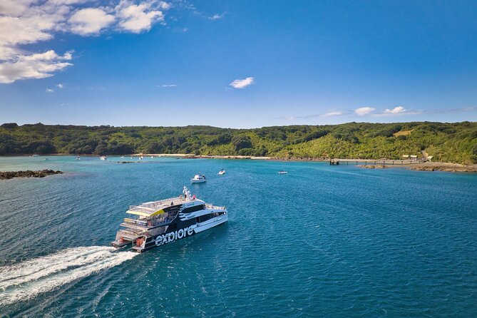 Tiritiri Matangi Island Discovery - from Auckland - Why Tiritiri Matangi feels different from Auckland