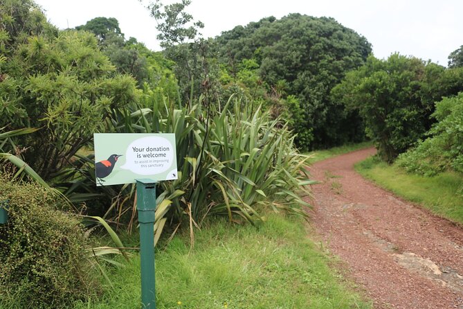 Tiritiri Matangi Island Discovery - from Auckland - Searching for takahē, kōkako, tīeke, and tuatara
