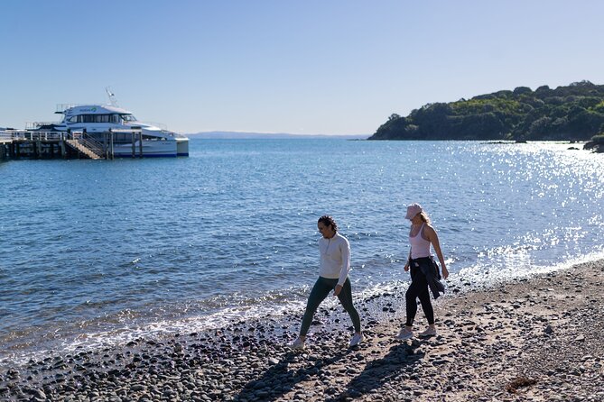 Tiritiri Matangi Island Discovery - from Auckland - Hobbs Beach for an easier afternoon