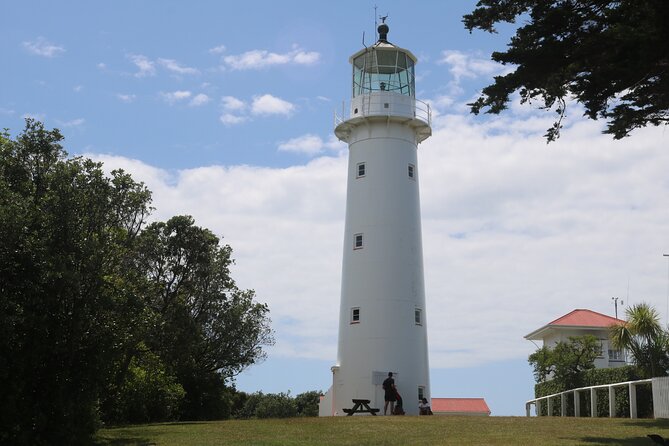 Tiritiri Matangi Island Discovery - from Auckland - Food, clothing, and simple preparation