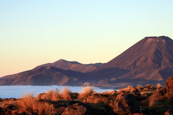 Tongariro Alpine Crossing One-Way Ketetahi Only Private Carpark - The 7 am and 8 am shuttle choices
