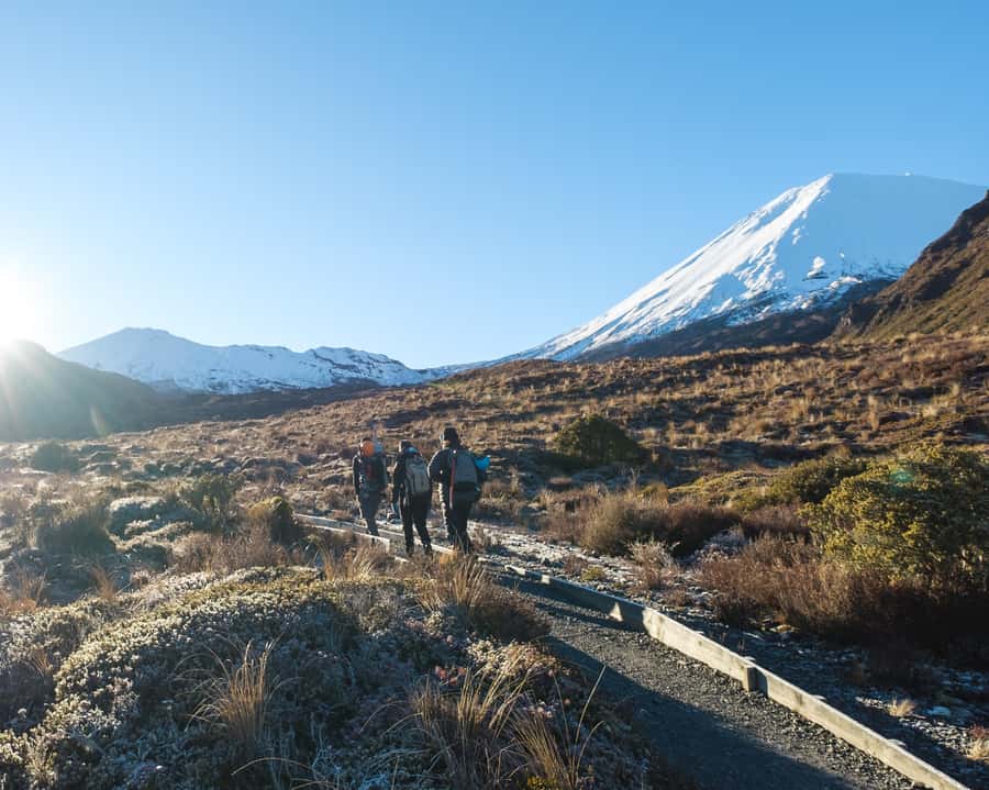 Tongariro Alpine Crossing: Premium Guided Hike - The first hours: bush, rock, and rising views