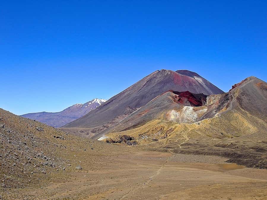 Tongariro Alpine Crossing: Round-Trip Shuttle Service - Key points before you book