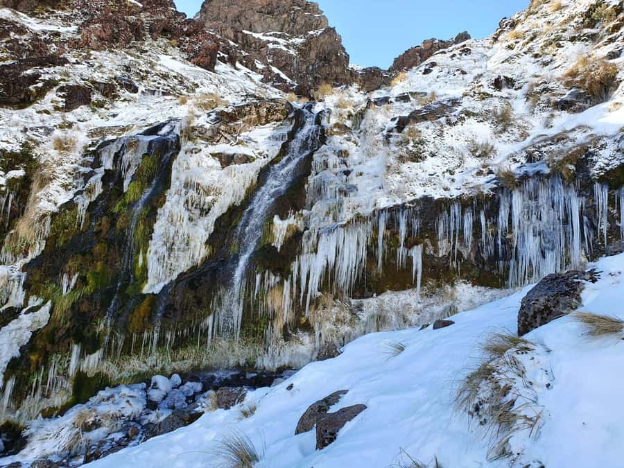 Tongariro Alpine Half Day Guided Group Walk - Soda Springs, buttercups, and a useful rest stop