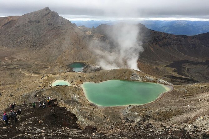 Tongariro Crossing Secure Parking & Shuttle one way - Who will like this shuttle most?