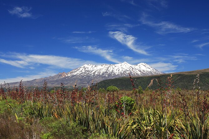 Tongariro Discovery Walk - Tama Lakes or Lake Rotopounamu?