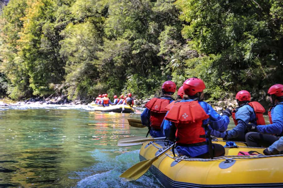 Tongariro River: Grade 3 Whitewater Rafting - The upper river and its unusual wildlife