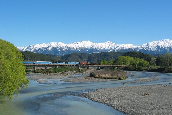 Tranz Alpine Train Tour - Five things to know before you book