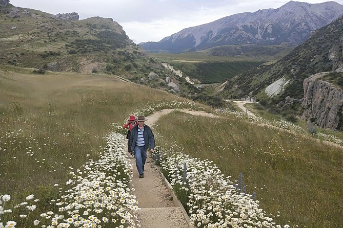 Tranz Alpine Train Tour - Who will enjoy this tour most?