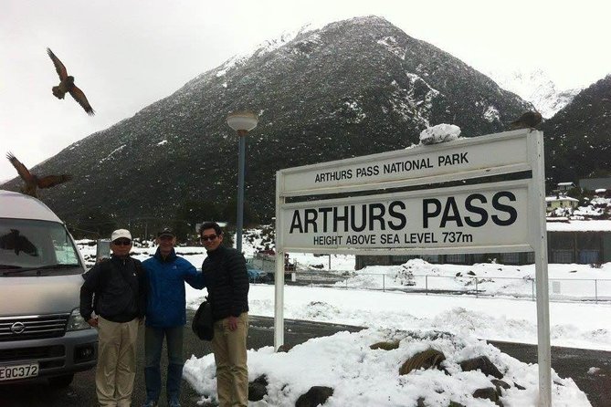 Tranz Alpine Train Tour - From central Christchurch to Springfield Station