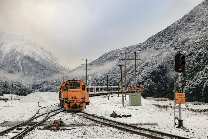 TranzAlpine Train Journey: Christchurch to Greymouth - Descending through West Coast beech forest
